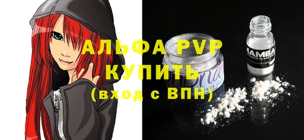 индика Арсеньев