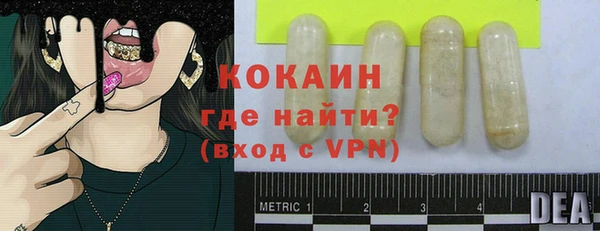 индика Арсеньев