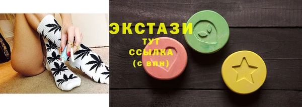 индика Арсеньев