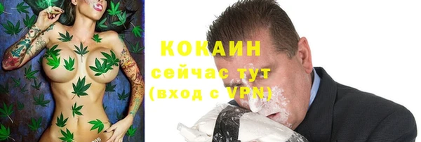 шишки Богородск