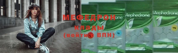 индика Арсеньев