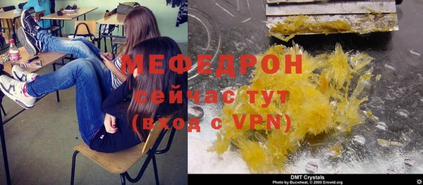 индика Арсеньев