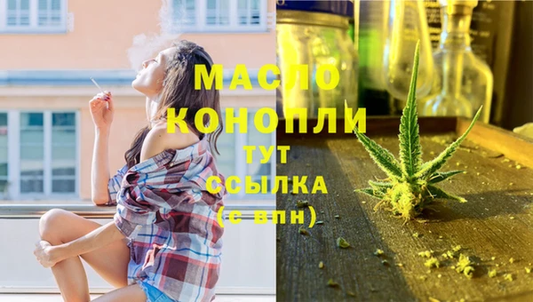 индика Арсеньев