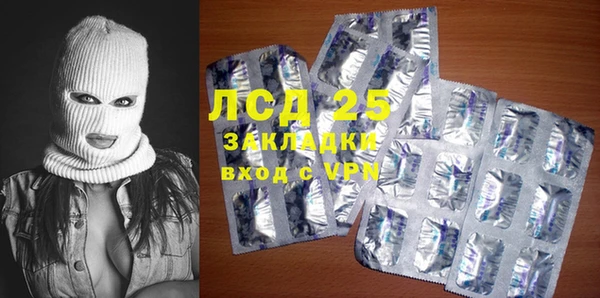 индика Арсеньев