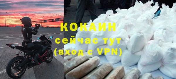 индика Арсеньев