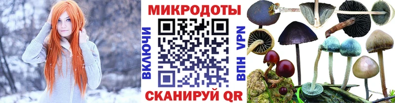 omg Красный Кут Псилоцибиновые грибы ЛСД