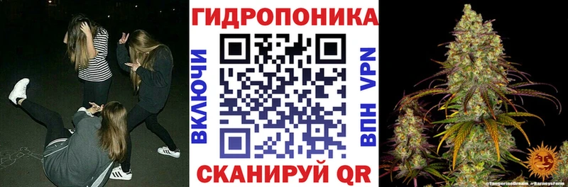 Шишки марихуана план  блэк спрут вход  Красный Кут  дарнет шоп 